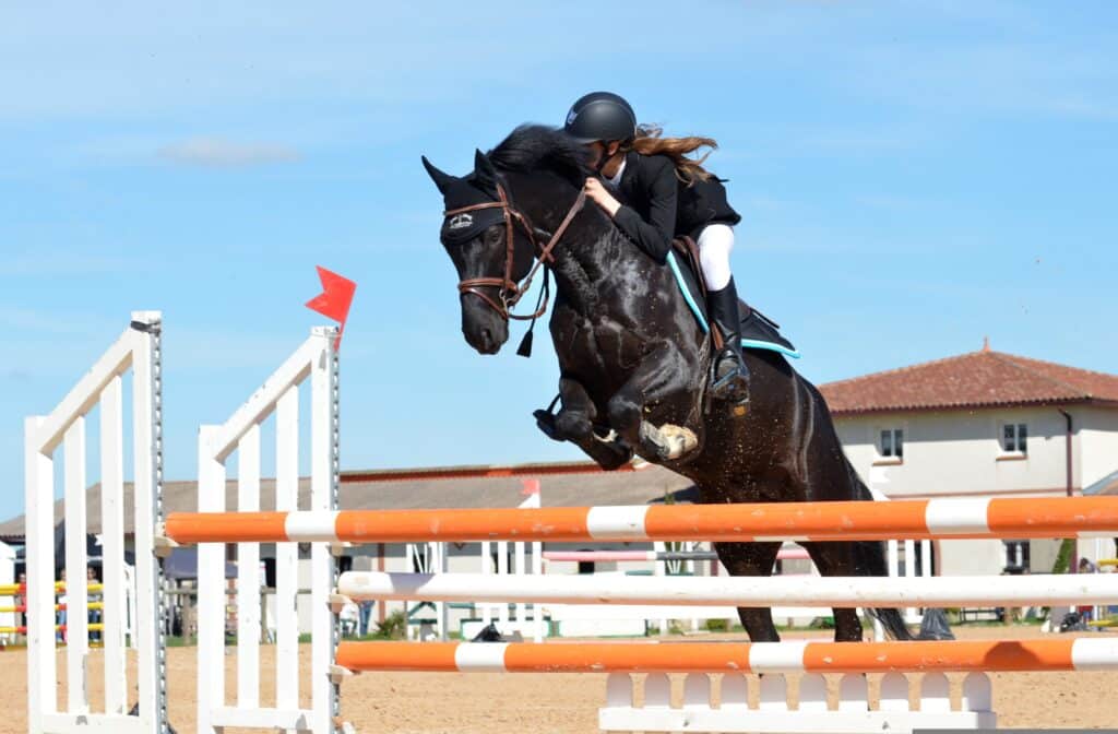 Saut d'obstacle à cheval