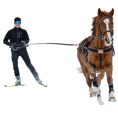 sciatore trainato da un cavallo al galoppo nella neve