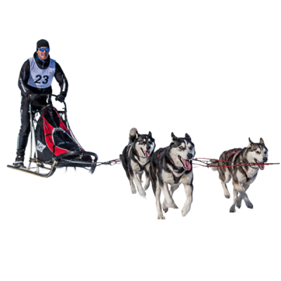Mushing insurance