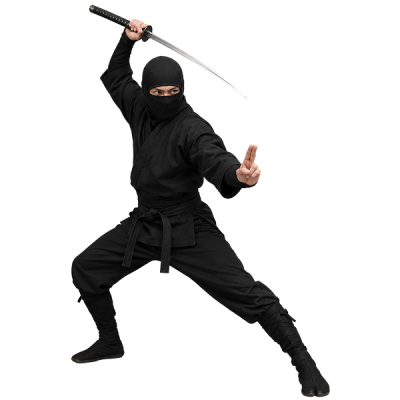 Seguro de ninjutsu