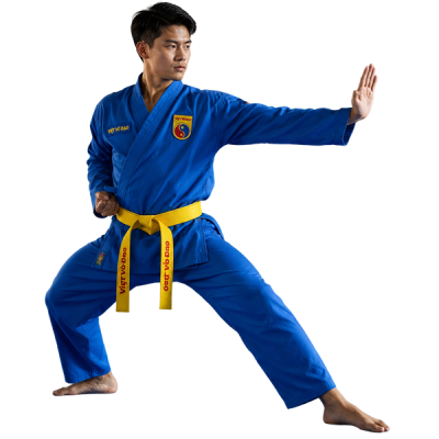 Seguro de viet vo dao