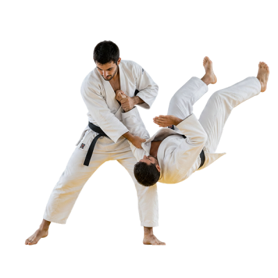 Assurance ju-jitsu