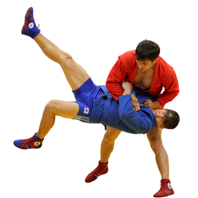 Seguro de sambo