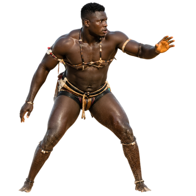 Seguro de lucha senegalesa