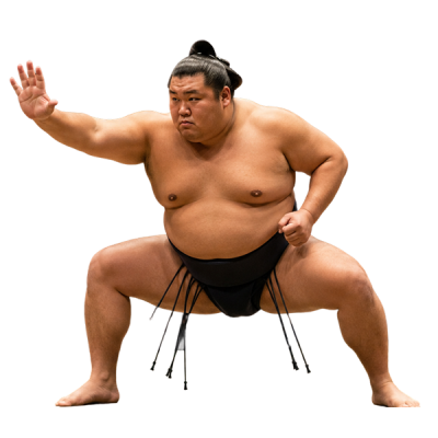 Seguro de sumo