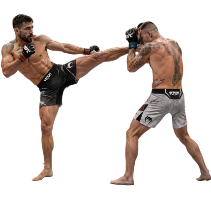 Seguro de MMA
