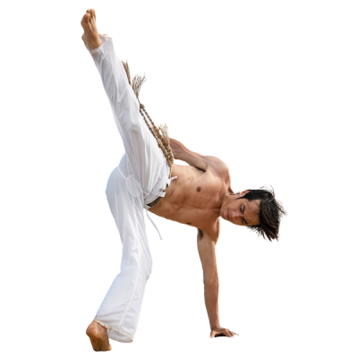 Seguro de capoeira
