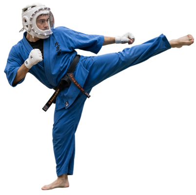 Seguro de kudo