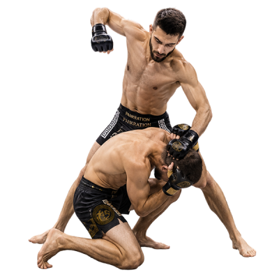 Pancrase insurance