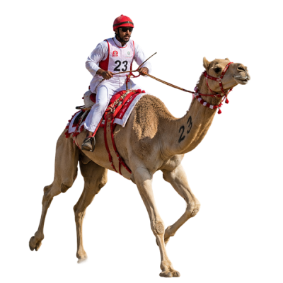 jinetes de camellos corriendo en una pista desértica