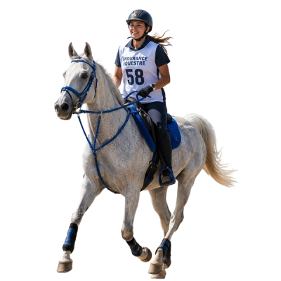 endurance rider crossing open country at the trot