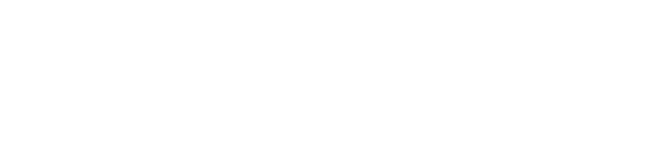 logo salon de la plongee